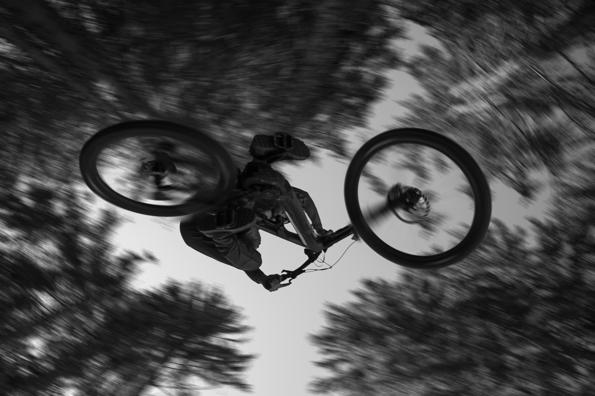 BikePark Les Gets